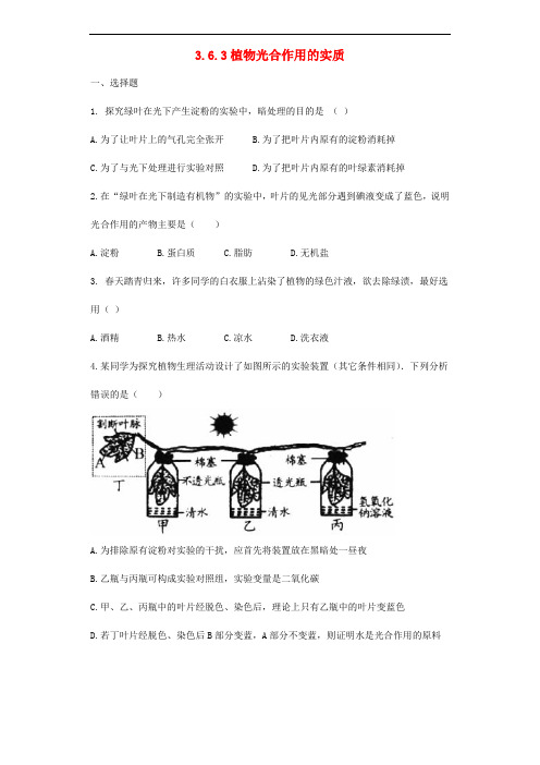 七年级生物上册 3.6.3植物光合作用的实质同步测试(无答案)(新版)苏教版