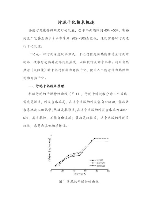 污泥干化技术概述