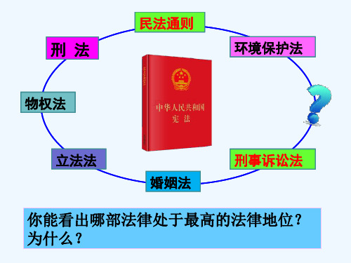 最高法律效力 PPT