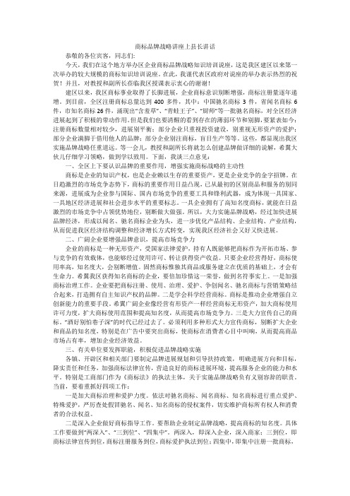 商标品牌战略讲座上县长讲话