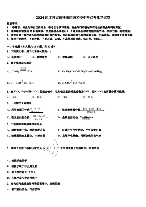 2024届江苏省宿迁市市级名校中考联考化学试卷含解析