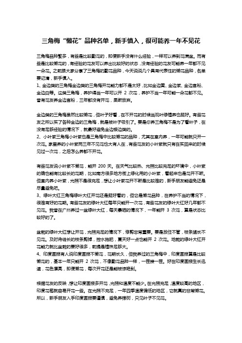 三角梅“懒花”品种名单,新手慎入,很可能养一年不见花