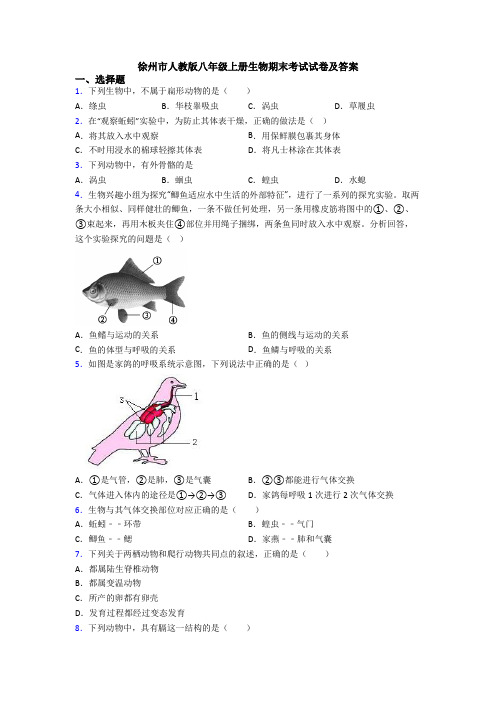 徐州市人教版八年级上册生物期末考试试卷及答案