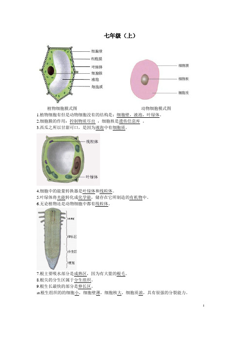 初中生物识图题全面解析(超全面)