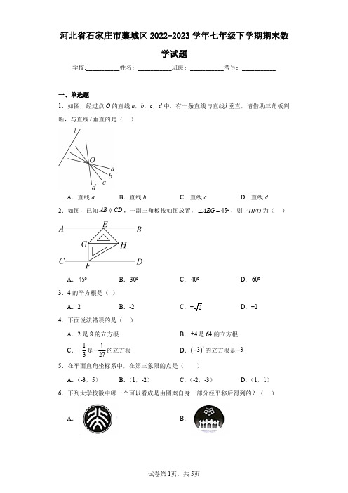 河北省石家庄市藁城区2022-2023学年七年级下学期期末数学试题