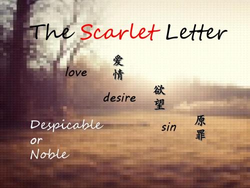 英美文学欣赏资料-the scarlet letter2