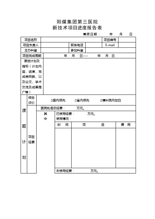 新技术进度报告表