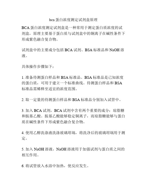 bca蛋白浓度测定试剂盒原理