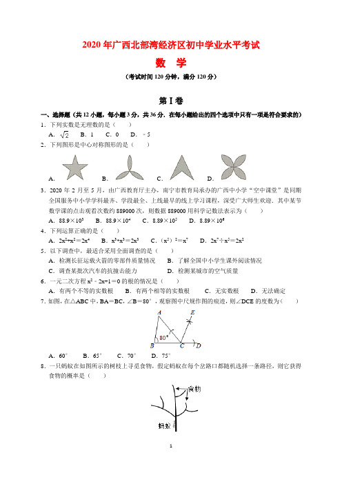 2020年广西北部湾经济区中考数学试题及参考答案(word解析版)