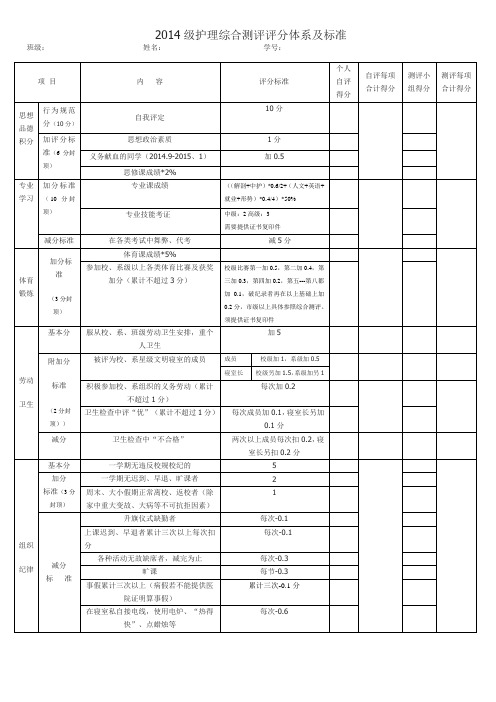 14护理综合测评评分体系及标准