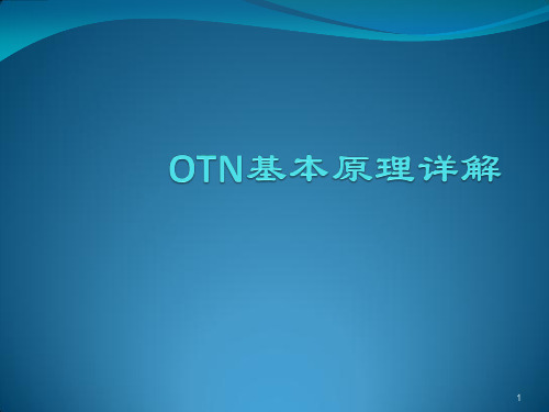 OTN基本原理详解ppt课件