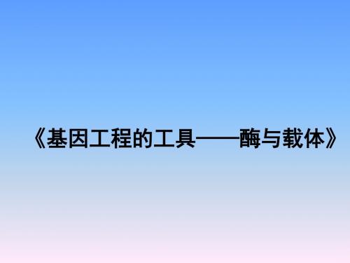 苏教版高中生物选修3课件 基础工程的工具——酶与载体课件