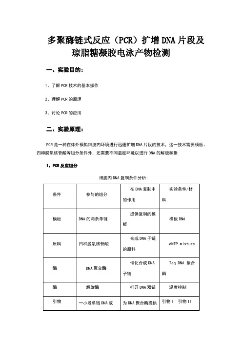 PCR反应及琼脂糖电泳实验报告