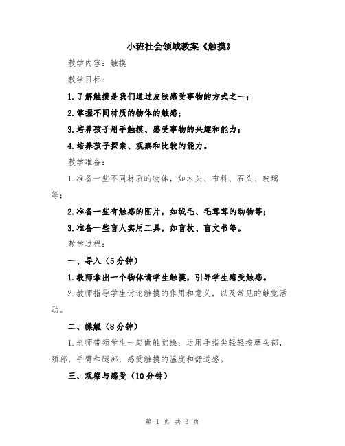 小班社会领域教案《触摸》