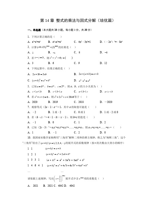 人教版2022-2023学年八年级数学上册阶段性复习精选精练《整式的乘法与因式分解》培优卷含答案解析