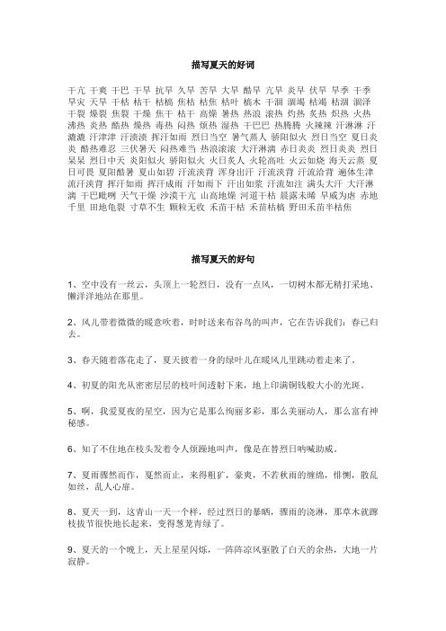 描写夏天的好词好句好段(写作必备)