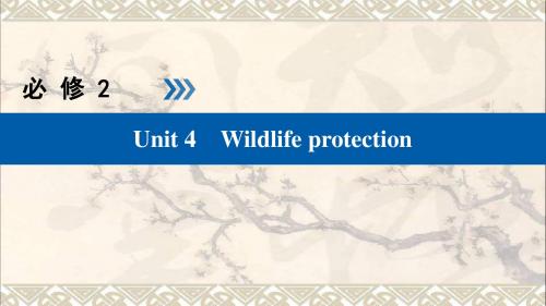 全国通用版2019版高考英语大一轮复习Unit4Wildlifeprotection课件新人教版必修2