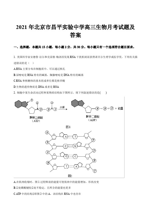 2021年北京市昌平实验中学高三生物月考试题及答案