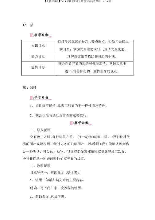 【人教部编版】2019年秋七年级上册语文精品教案:16猫