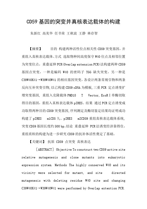 CD59基因的突变并真核表达载体的构建