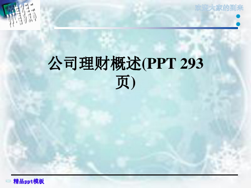 公司理财概述(PPT 293页)