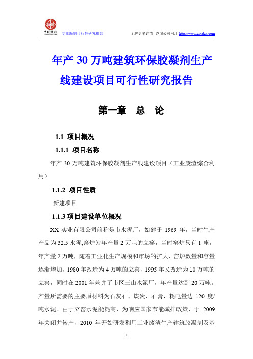 年产30万吨建筑环保胶凝剂生产线建设项目可行性研究报告