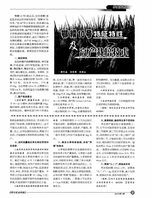 鄂糯10号特征特性及高产栽培技术