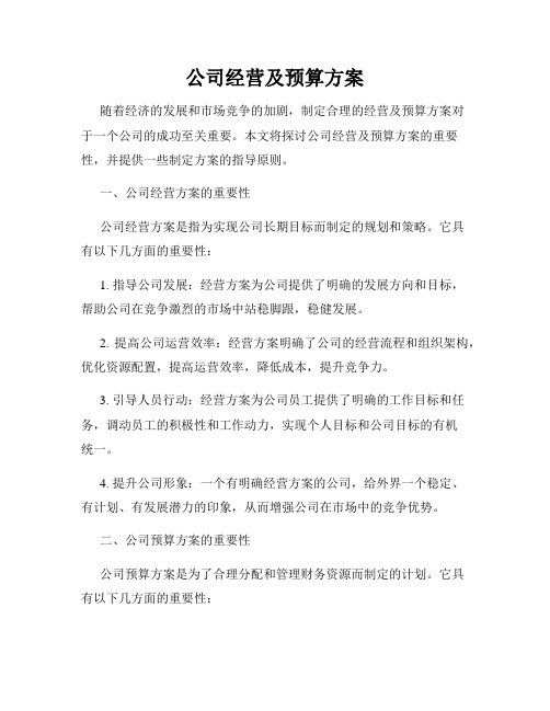 公司经营及预算方案