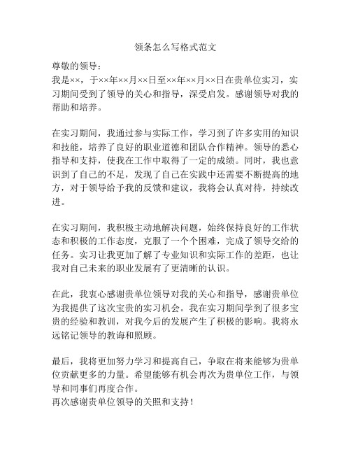 领条怎么写格式范文