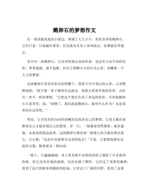 鹅卵石的梦想作文