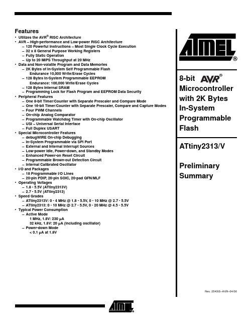 ATTINY2313_06中文资料