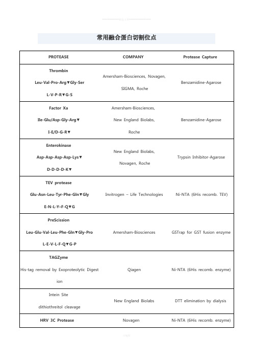 常用蛋白酶切割位点