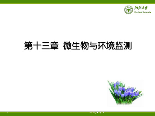 第十三章 微生物与环境监测 环境微生物学教学课件