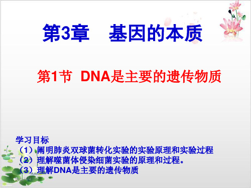 人教版高中生物必修二DNA是主要的遗传物质-ppt精品课件3