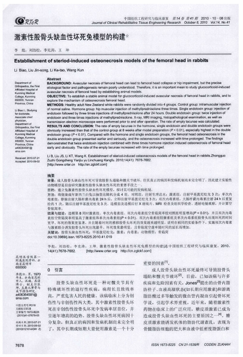 激素性股骨头缺血性坏死兔模型的构建