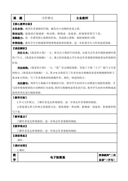 习作例文 优质版教案