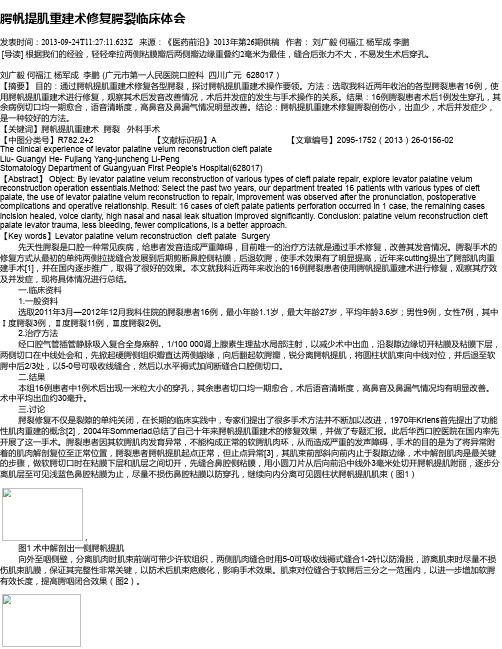 腭帆提肌重建术修复腭裂临床体会