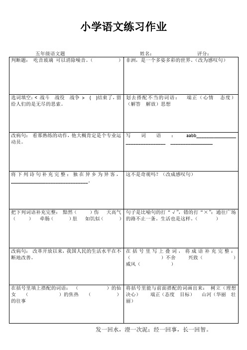 小学五年级语文课堂练习II (66)