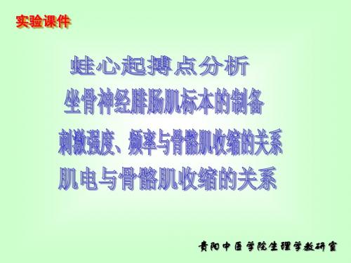 蛙心起搏点分析、肌电、骨骼肌收缩形式等