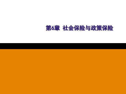 第六章  社会保险与政策保险  《保险学》PPT课件