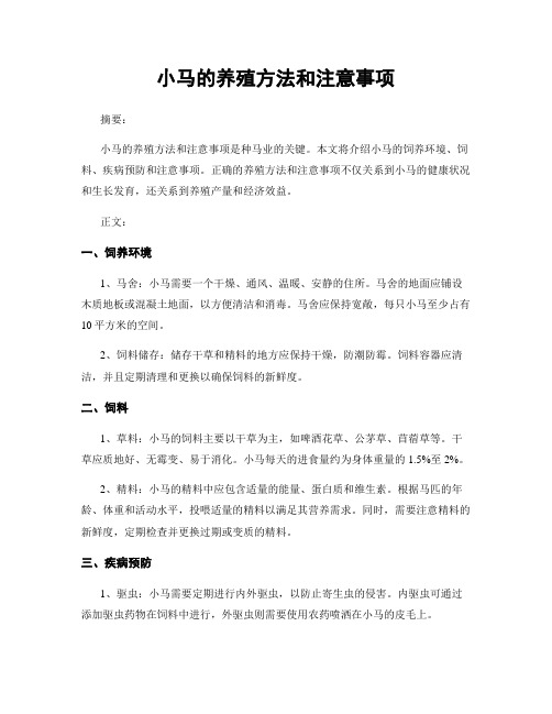 小马的养殖方法和注意事项