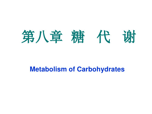 糖代谢新生物化学