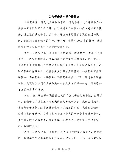 公共安全第一课心得体会（2篇）