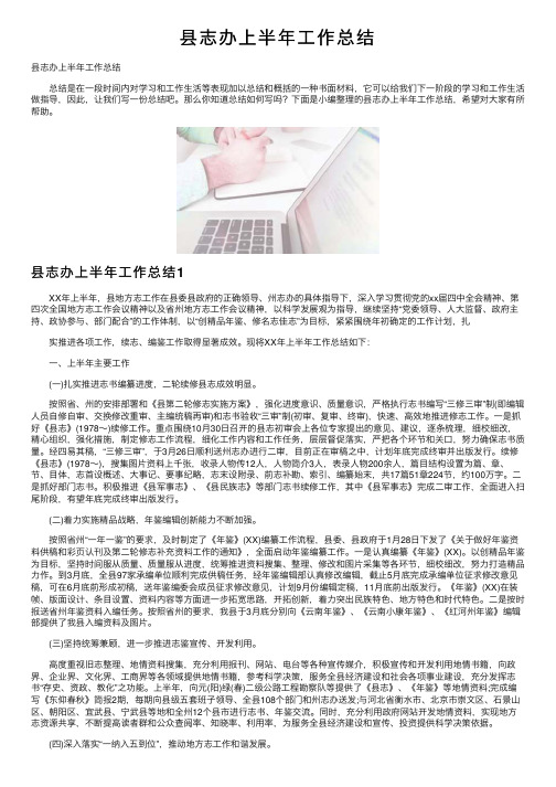 县志办上半年工作总结