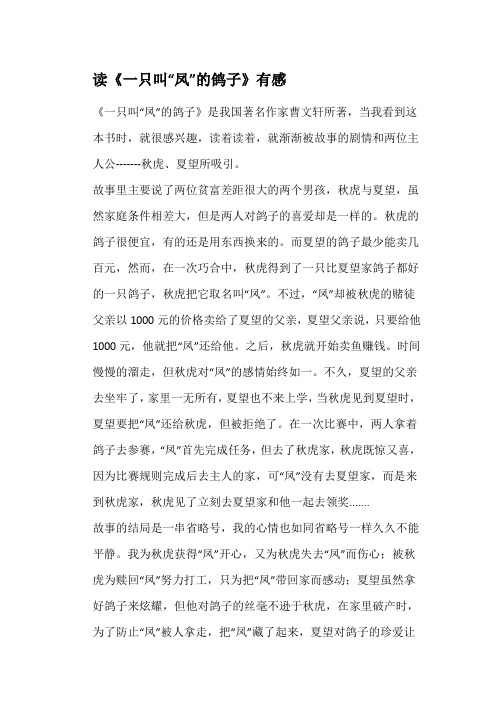 读《一只叫“凤”的鸽子》有感