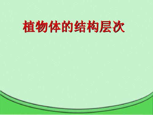 第2节 植物体的结构层次