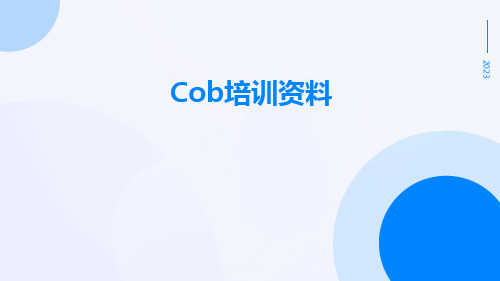 COB培训资料