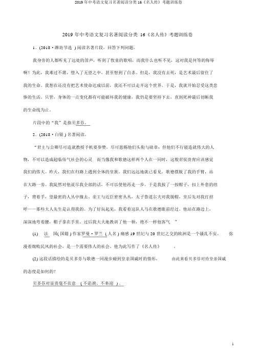 2019年中考语文复习名著阅读分类16《名人传》考题训练卷