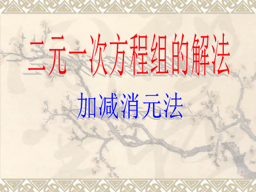 华师版七年级下册数学加减消元法