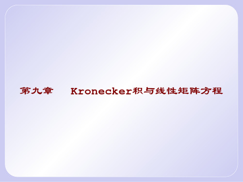 第九章 Kronecker积与线性矩阵方程